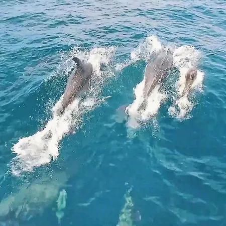 فيلة Acapulco By Algarve Vacation *