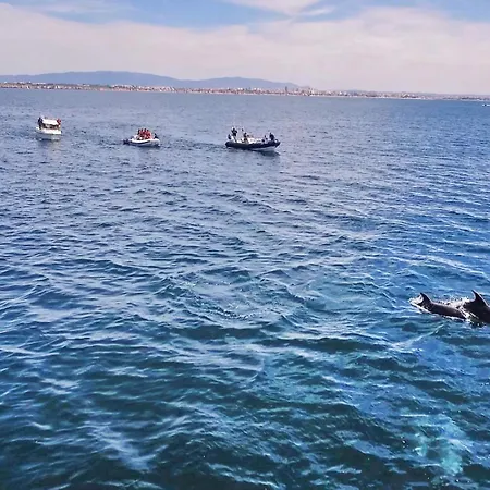 Acapulco By Algarve Vacation فيلة